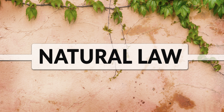 natural-laws-of-science-definition-examples-video-lesson